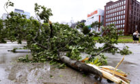 Typhoon Lashes South Korea After Battering Japanese Islands