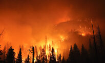 Record 2 Million Acres Burned in California