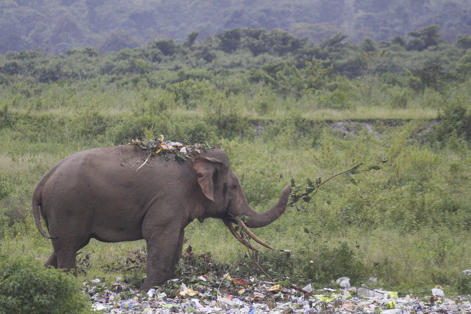 Epoch Times Photo