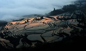 I-Ching: China’s Ancient Fortune-Telling Tradition Could Be Relevant to the Modern Age