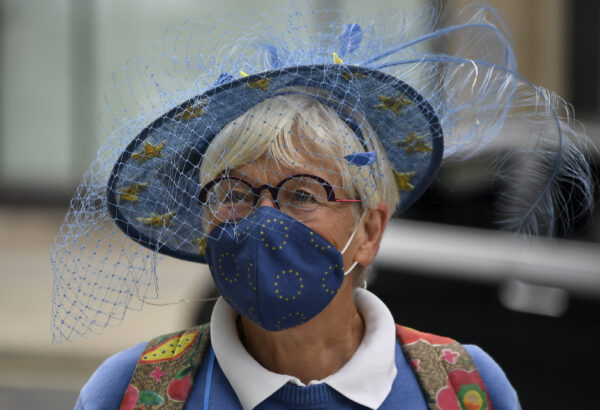 A pro EU protester