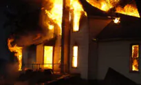Barking Great Dane Credited for Saving Whole Family From Horrific Housefire