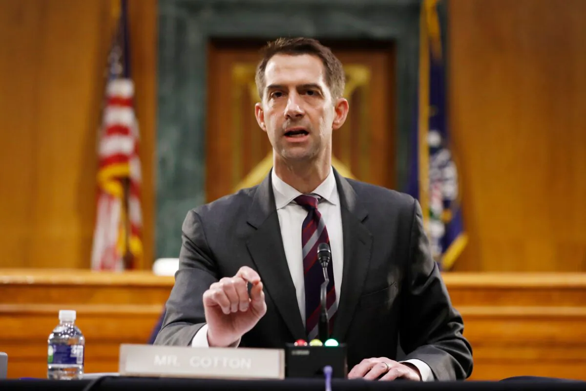 Sen. Tom Cotton (R-Ark.) speaks during a hearing in Washington on May 5, 2020. (Andrew Harnik/Pool/AFP via Getty Images)