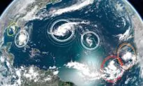 Tropical Storm Sally Forms in the Gulf of Mexico
