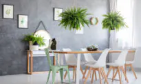 Home Decor: Tips for a Fall Facelift
