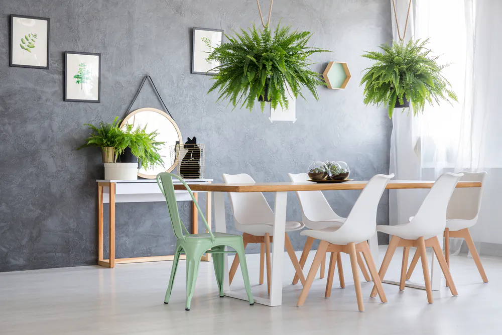 For an easy makeover, add plants for color and serenity.  (Photographee.eu/Shutterstock)