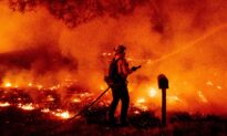 Search on for Survivors as Wildfires Torch Millions of Acres, Trump to Visit California