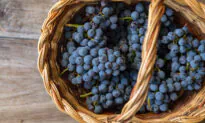 China’s Trade War on Australia May Extend to Table Grapes