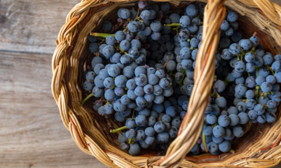 China’s Trade War on Australia May Extend to Table Grapes