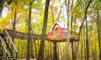 Go Camping in Style: Here’s Where to Glamp in the US