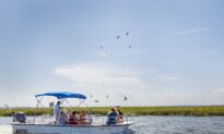 Edisto Island: A Vacation for Everyone