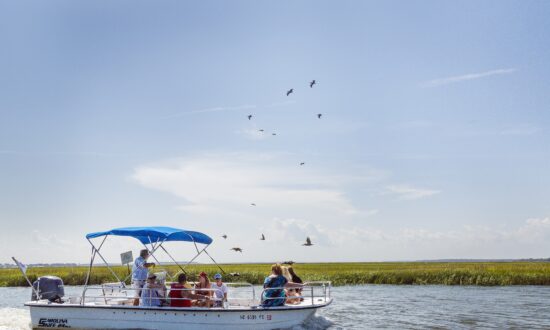 Edisto Island: A Vacation for Everyone