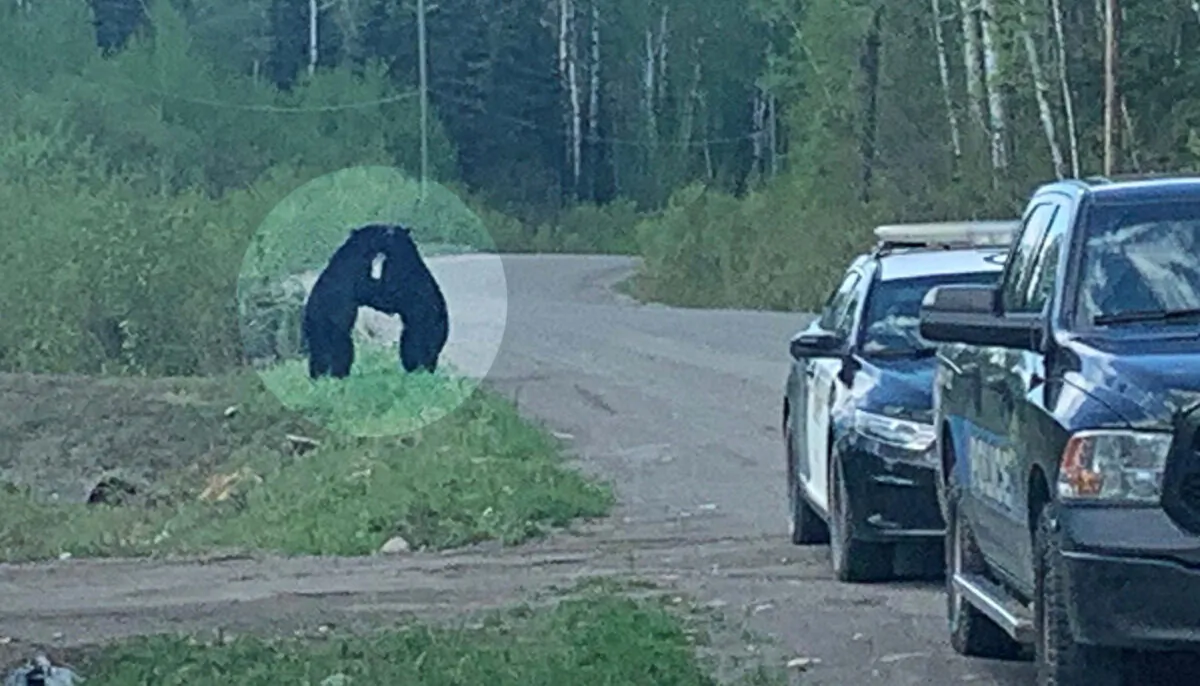 (Courtesy of Nicole Haueisen/Ontario Provincial Police - North West Region)
