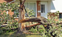 Windstorm Destroys Quadriplegic’s Yard–Then Iowa Football Team Clears It in 2 Hours