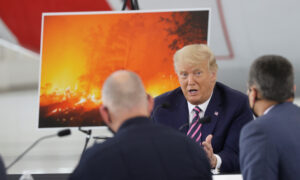 Data Prove Climate Change Is Not Making Droughts, Heatwaves, or Wildfires Worse