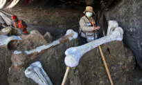‘Mammoth Central’ Found at Mexico Airport Construction Site