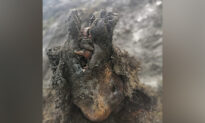 A Perfectly Preserved Ice Age Cave Bear Has Been Found in Russia–Even Its Nose Is Intact