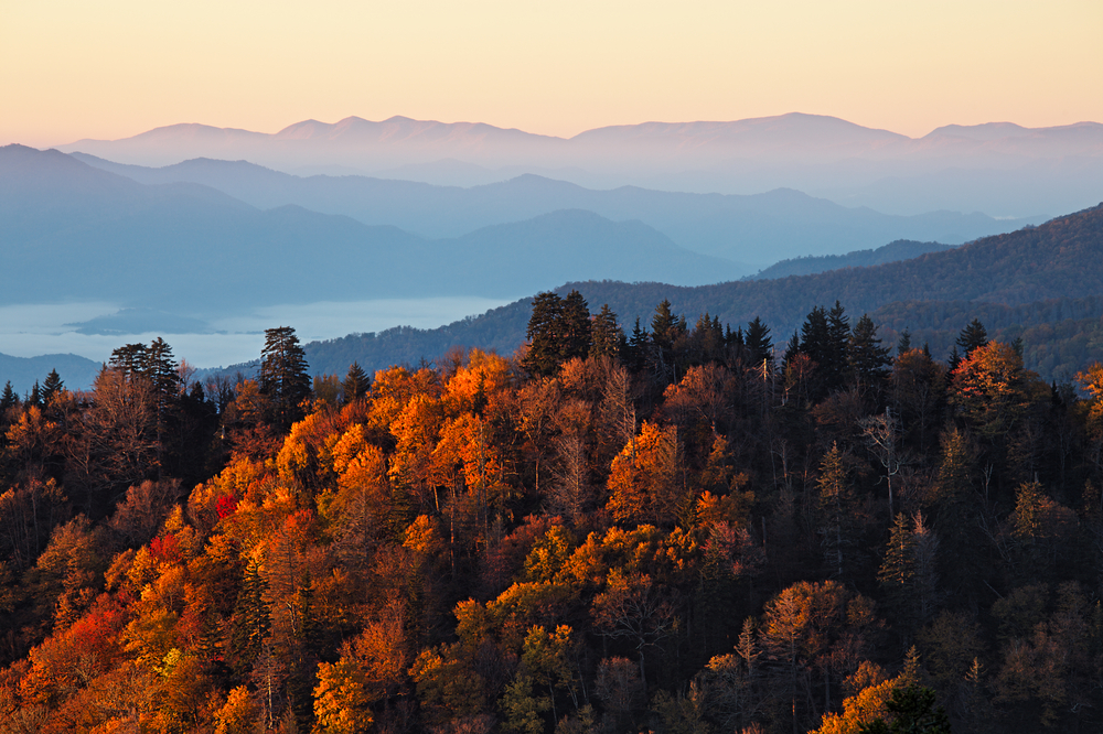 shutterstock_116837266