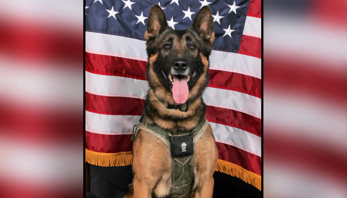 Blue (Gwinnett County Police Department)