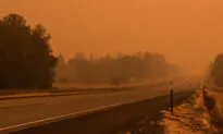 24 Huskies Rescued From Level 3 Evacuation Zone Amid Oregon Wildfire