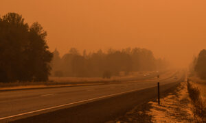 24 Huskies Rescued From Level 3 Evacuation Zone Amid Oregon Wildfire