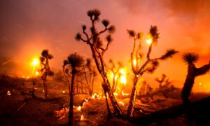 Homes Destroyed After Winds Push California Fire Into Desert