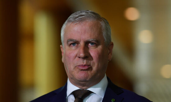 2050 Target May Exclude Agriculture: Deputy PM