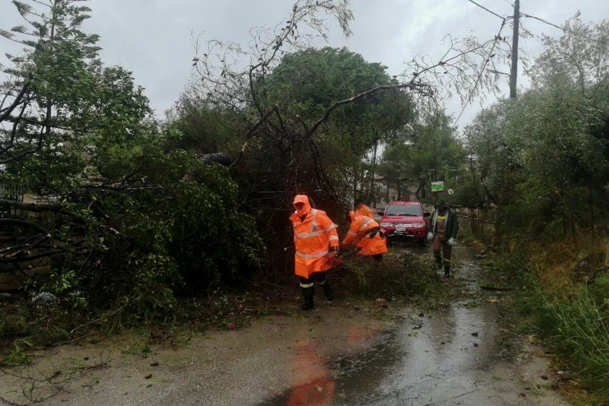 Firefighters remove a fallen tree from a road in the island of Zakynthos, as a rare storm, known as a Medicane (Mediterranean hurricane), hit western Greece, on Sept. 18, 2020. (Eurokinissi via Reuters)
