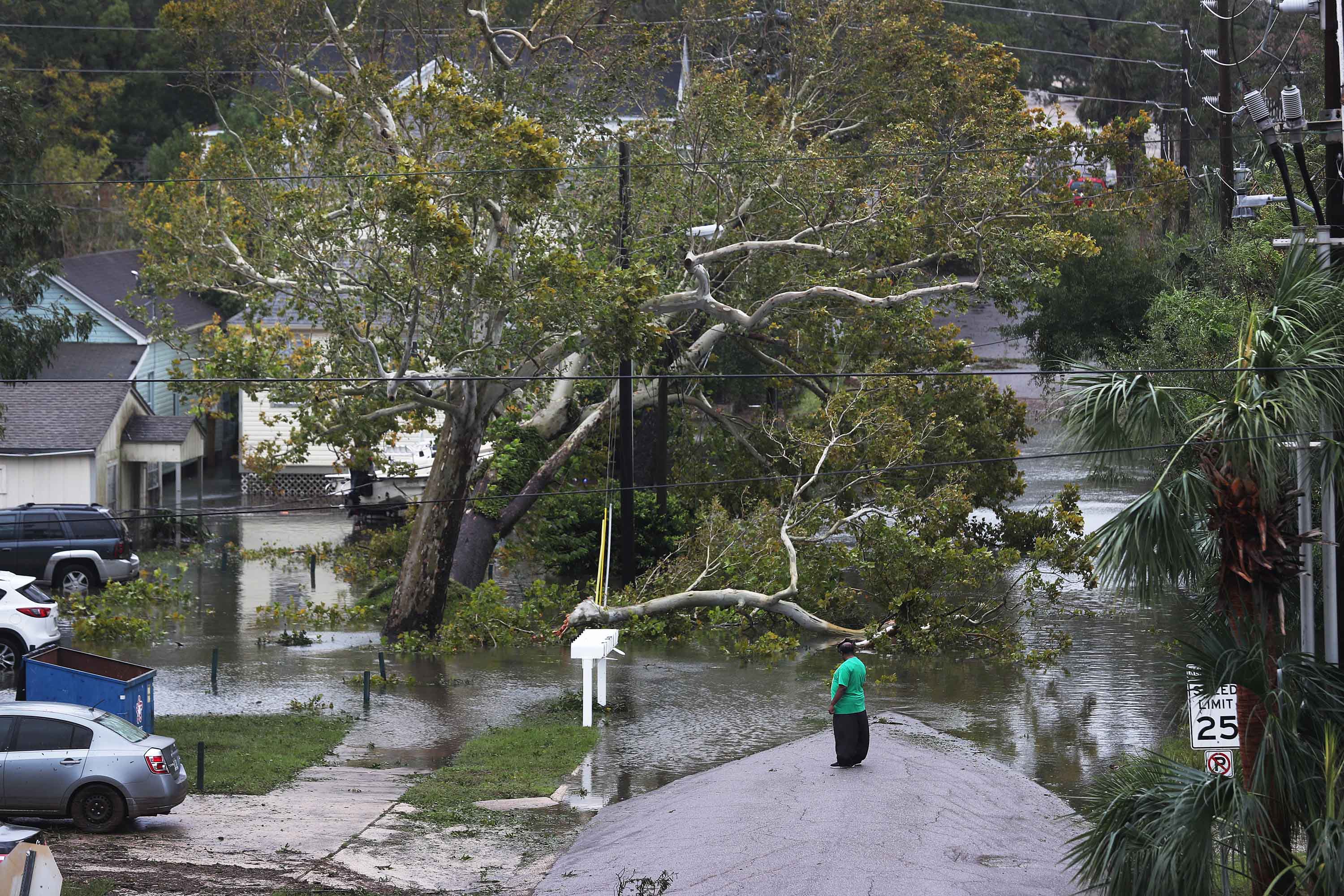 Epoch Times Photo
