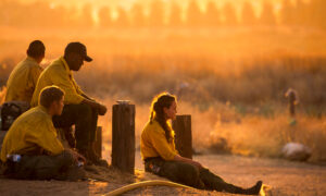 Firefighters Battle Exhaustion With Wildfire Flames: 'You Can’t Breathe, You Can’t See'