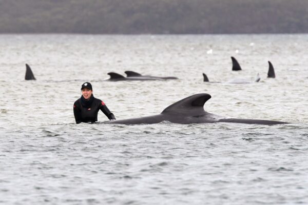 Epoch Times Photo