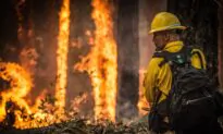 Bad Policies Fuel Fires