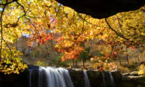 Road Trip Planning: In Search of Fall Colors