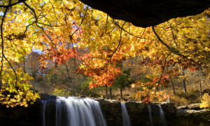 Road Trip Planning: In Search of Fall Colors