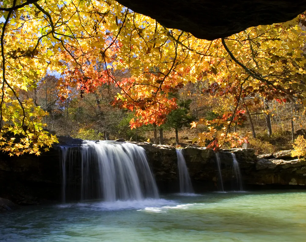 The Ozark National Forest. (Glenn W. Wheeler/Shutterstock)