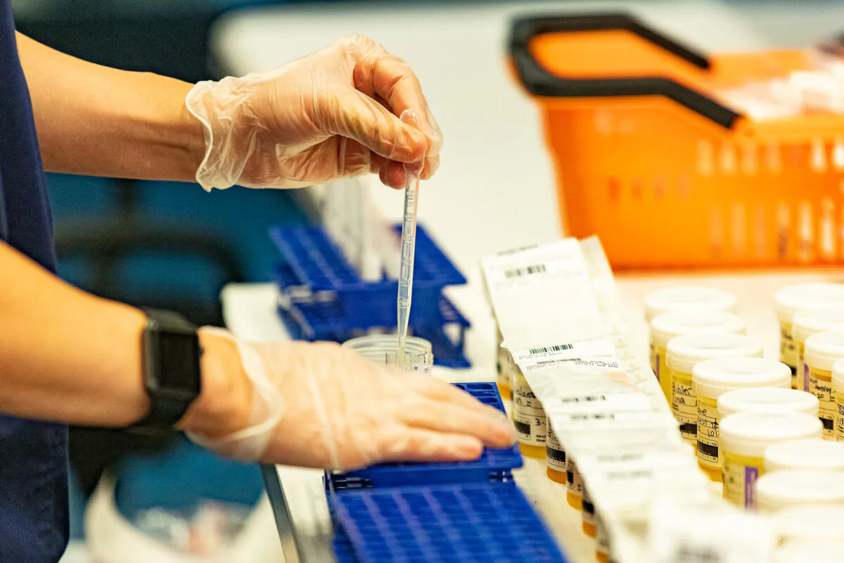 EqualTox lab workers process COVID-19 tests in Tustin, Calif., on Sept. 3, 2020. (John Fredricks/The Epoch Times)