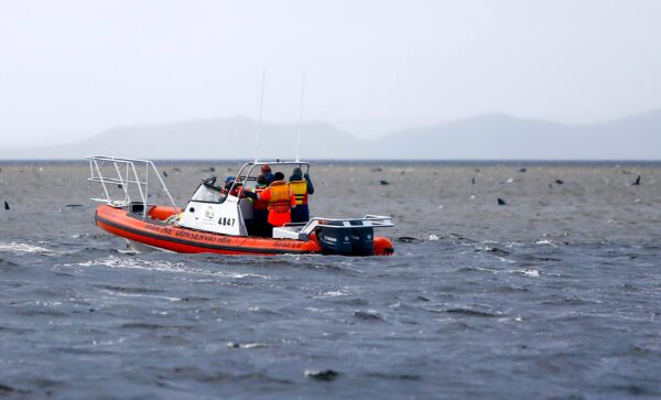 Rescue workers make a survey from a boat