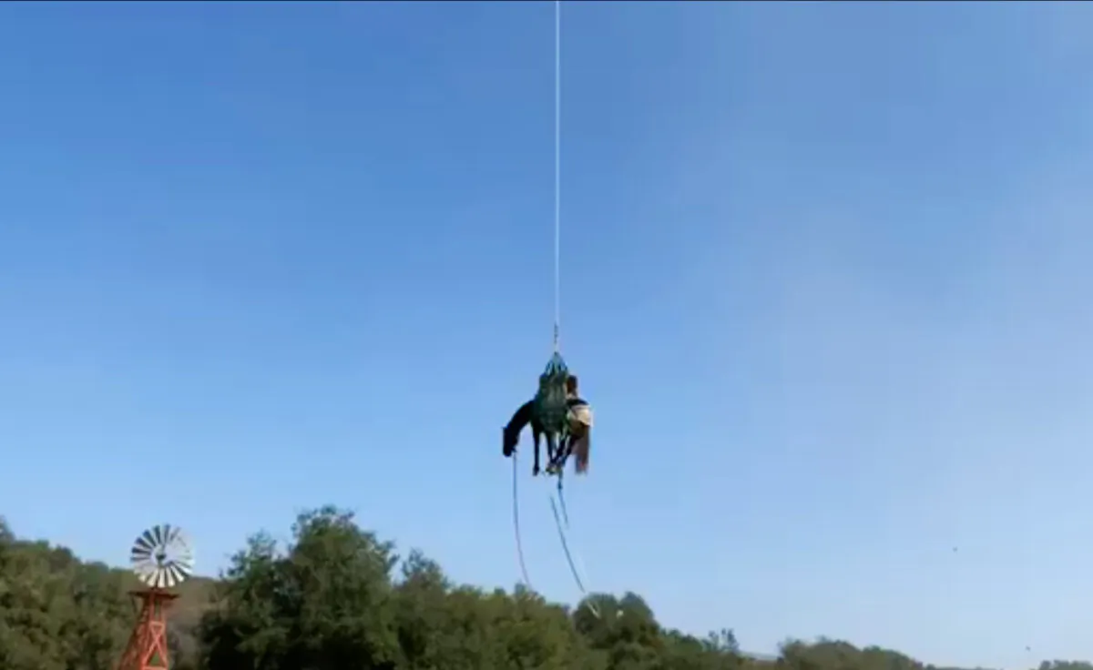 The Orange County Fire Authority airlifts a horse to safety in Rancho Mission Viejo, Calif., on Sept. 21, 2020. (Screenshot/Video Courtesy of the Orange County Fire Authority)