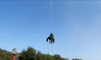 Horse Takes Flight After Falling Into OC Ravine