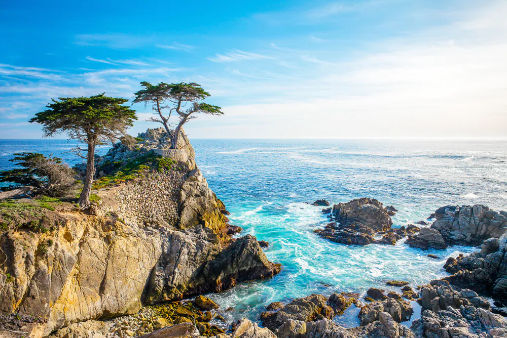 The Lone Cypress on 17-Mile Drive in Pebble Beach. (Lynn Yeh/Shutterstock)
