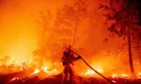 Couple Whose Gender Reveal Party Sparked 2020 California Fire Has Pleaded Guilty