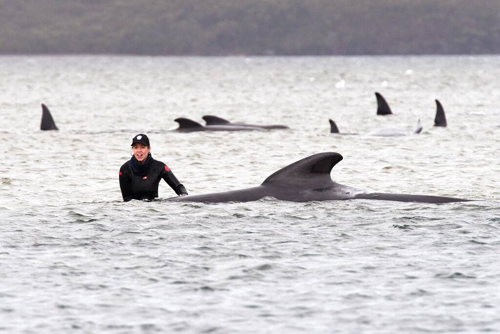 Epoch Times Photo