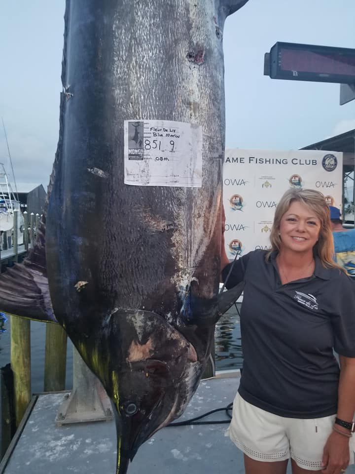 Hook, Line & Record? Girl, 8, reels in marlin almost 5 times her size,  could set new standar, Texas All Outdoors