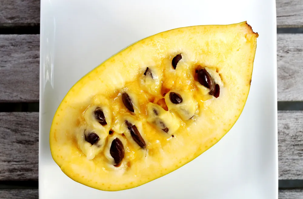 The tropical-like pawpaw fruit has a custardy texture and a flavor reminiscent of banana, mango, or pineapple. (EQRoy/Shutterstock)