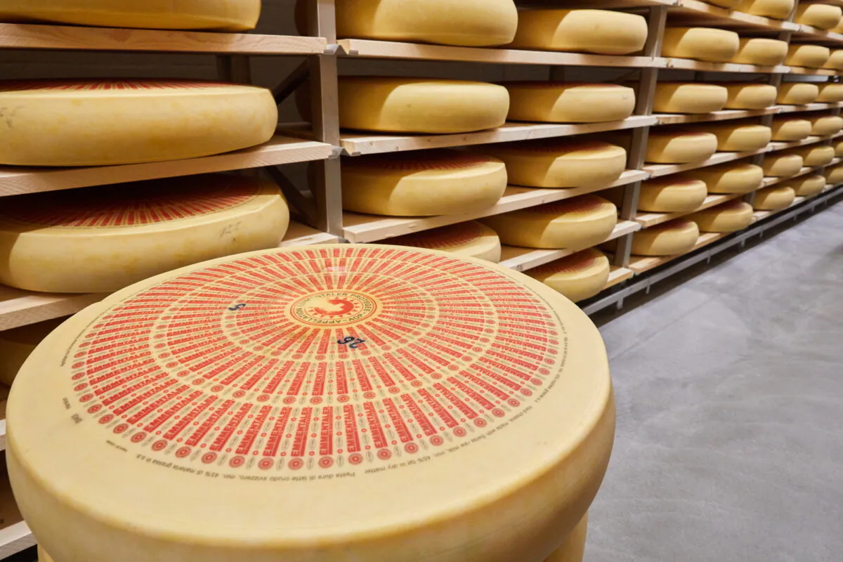 Emmentaler, Switzerland's most iconic cheese, is made by a little over 100 creameries in 200-pound wheels. (Tom Trachsel for Gourmino)