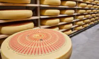Swiss Cheese 101: What to Know and What to Try—Beyond the Floppy Deli Slices