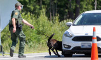 Border Patrol K9s Sniff Out 7lbs Cocaine, Meth, Pot, Leads to Arrest of 2 Drug-Smuggling Suspects