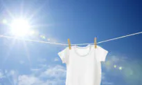 Everyday Cheapskate: Solutions for Stains on Shirts and Windows
