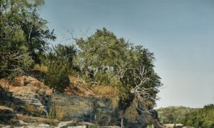 Taking You There: 'Stepped Rocks With Water'