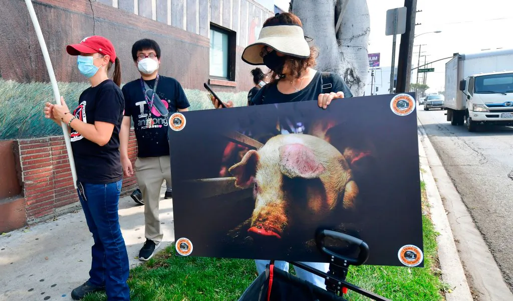 Activists from groups such as LA Animal Save, Slaughter Free Los Angeles, and Direct Action Everywhere gathered to demonstrate outside the Farmer John slaughterhouse/packing plant in Vernon, an industrial city five miles south of downtown Los Angeles on Sept. 14, 2020. (Frederic J. Brown/AFP via Getty Images)